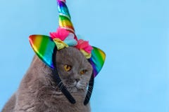 E стоковые фотографии rf E стоковые фотографии rf