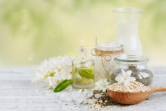 Естественные ингридиенты для домодельной маски ухода за лицом и тела стоковые изображения rf Естественные ингридиенты для домодельной маски ухода за лицом и тела стоковые изображения rf