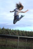 летать высоко стоковая фотография летать высоко стоковая фотография