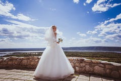 детеныши платья невесты wedding белые стоковое изображение детеныши платья невесты wedding белые стоковое изображение