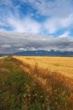 желтый цвет гор полей облаков Стоковая Фотография желтый цвет гор полей облаков Стоковая Фотография