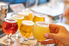 Женская рука выбирая вверх стекло микро- пива brew от разнообразия дальше стоковое изображение Женская рука выбирая вверх стекло микро- пива brew от разнообразия дальше стоковое изображение