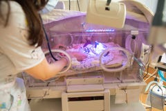 Женский доктор рассматривая newborn младенца в инкубаторе Конец вверх по женским рукам со стетоскопом стоковые фотографии rf Женский доктор рассматривая newborn младенца в инкубаторе Конец вверх по женским рукам со стетоскопом стоковые фотографии rf
