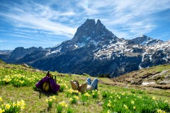 Женщина Hiker отдыхая и смотря Pic du Midi Ossau во французских горах Пиренеи стоковые изображения Женщина Hiker отдыхая и смотря Pic du Midi Ossau во французских горах Пиренеи стоковые изображения