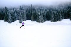 Женщина зимы идущая, jogging воодушевленность и мотивировка стоковые фотографии rf Женщина зимы идущая, jogging воодушевленность и мотивировка стоковые фотографии rf