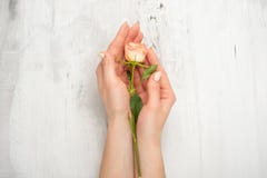 Женщина портрета искусства моды в руке и цветках в руке с ярким макияжем контраста Творческая красота фото девушек сидя на стоковые изображения Женщина портрета искусства моды в руке и цветках в руке с ярким макияжем контраста Творческая красота фото девушек сидя на стоковые изображения