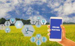 Женщины вручают смартфон удерживания со значком аукциона для сельскохозяйственных продуктов, предпосылку неба и органические поля стоковые изображения Женщины вручают смартфон удерживания со значком аукциона для сельскохозяйственных продуктов, предпосылку неба и органические поля стоковые изображения