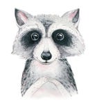 Животное енота младенца акварели изолированное мультфильмом милое с цветками Иллюстрация полесья питомника леса Богемское boho иллюстрация штока Животное енота младенца акварели изолированное мультфильмом милое с цветками Иллюстрация полесья питомника леса Богемское boho иллюстрация штока
