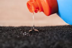 Жидкость dishwashing в голубой пробирке стоковые изображения Жидкость dishwashing в голубой пробирке стоковые изображения