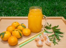 1 жизнь все еще Прозрачная кружка с ручкой с свеже сжиманным соком tangerine И свежие tangerines стоковое изображение rf 1 жизнь все еще Прозрачная кружка с ручкой с свеже сжиманным соком tangerine И свежие tangerines стоковое изображение rf