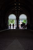 жизнь улицы Амстердама стоковая фотография rf жизнь улицы Амстердама стоковая фотография rf