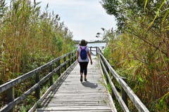 Задний backpacker охраняемой природной территории залива на положении США Вирджинии следа стоковые изображения Задний backpacker охраняемой природной территории залива на положении США Вирджинии следа стоковые изображения