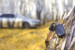 Забытые ключи автомобиля на дереве в лесе осени, предпосылке запачканного автомобиля стоковая фотография rf Забытые ключи автомобиля на дереве в лесе осени, предпосылке запачканного автомобиля стоковая фотография rf