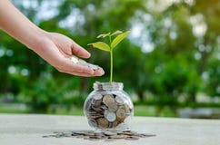 Завод опарника дерева монетки стеклянный растя от монеток вне концепции стеклянного сбережения и инвестирования денег опарника фи стоковое фото rf Завод опарника дерева монетки стеклянный растя от монеток вне концепции стеклянного сбережения и инвестирования денег опарника фи стоковое фото rf