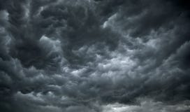 заволакивает дождь темноты зловещий заволакивает дождь темноты зловещий