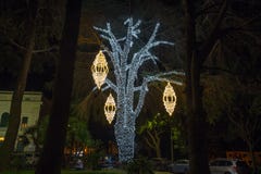 Загоренное дерево в общественном парке на времени рождества, Италии стоковая фотография Загоренное дерево в общественном парке на времени рождества, Италии стоковая фотография