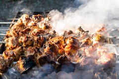 Зажаренное мясо, золотой свинина с протыкальниками и деревянные ручки Много дым в процессе варить душистые мясные блюда в природе стоковое фото Зажаренное мясо, золотой свинина с протыкальниками и деревянные ручки Много дым в процессе варить душистые мясные блюда в природе стоковое фото