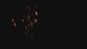 Зажаренные в духовке коричневые кофейные зерна падают вниз на черную предпосылку медленный mo сток-видео Зажаренные в духовке коричневые кофейные зерна падают вниз на черную предпосылку медленный mo сток-видео