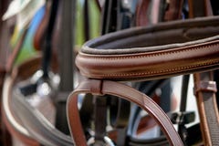 Закройте вверх уздечек лошади на стеллаже для выставки товаров стоковое изображение Закройте вверх уздечек лошади на стеллаже для выставки товаров стоковое изображение