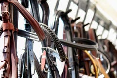 Закройте вверх уздечек лошади на стеллаже для выставки товаров стоковые фото Закройте вверх уздечек лошади на стеллаже для выставки товаров стоковые фото