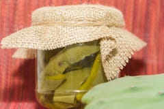 Замаринованный nopal в уксусе и соли стоковое фото Замаринованный nopal в уксусе и соли стоковое фото
