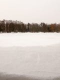 Замерзанный над зимы снега поверхностной воды верхней части озера деревьями белой чуть-чуть стоковые фото Замерзанный над зимы снега поверхностной воды верхней части озера деревьями белой чуть-чуть стоковые фото