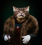 Заносчивый изощренный одетый босс кота смотря с презрительностью стоковое изображение rf Заносчивый изощренный одетый босс кота смотря с презрительностью стоковое изображение rf
