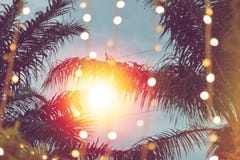Запачканное светлое bokeh с пальмой кокоса на заходе солнца стоковые фотографии rf Запачканное светлое bokeh с пальмой кокоса на заходе солнца стоковые фотографии rf