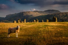 Захватывающий вид круга камня Castlerigg с овцой на унылый летний день в районе Cumbria озера, стоковые фото Захватывающий вид круга камня Castlerigg с овцой на унылый летний день в районе Cumbria озера, стоковые фото