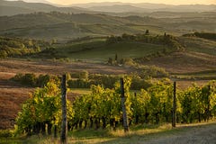 Заход солнца в Chianti стоковые изображения Заход солнца в Chianti стоковые изображения