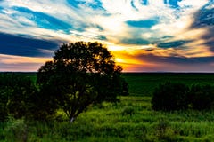 Заход солнца на предпосылке русских лугов стоковое фото Заход солнца на предпосылке русских лугов стоковое фото