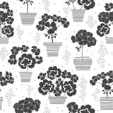 Зацветая гераниумы в баках вектор картины безшовный Флористическая monochrome иллюстрация на белой предпосылке иллюстрация штока Зацветая гераниумы в баках вектор картины безшовный Флористическая monochrome иллюстрация на белой предпосылке иллюстрация штока