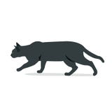 Звероловство черного кота с изолированной белой предпосылкой иллюстрация вектора Звероловство черного кота с изолированной белой предпосылкой иллюстрация вектора