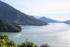 Звук Pelorus от бдительности NZ пункта Cullen Стоковое фото RF Звук Pelorus от бдительности NZ пункта Cullen Стоковое фото RF