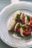 Здоровый салат Caprese стоковое фото Здоровый салат Caprese стоковое фото
