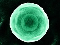 Зеленая иллюстрация клетки 3D иллюстрация штока Зеленая иллюстрация клетки 3D иллюстрация штока