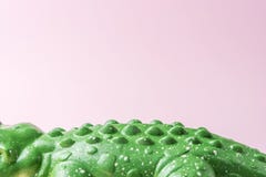 Зеленая игрушка крокодила на пастельной розовой предпосылке Минимальная концепция искусства стоковые фото Зеленая игрушка крокодила на пастельной розовой предпосылке Минимальная концепция искусства стоковые фото
