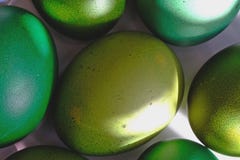 Зеленые пасхальные яйца на белом диске Луч солнца светя на яйце Высокий макрос крупного плана разрешения стоковые фотографии rf Зеленые пасхальные яйца на белом диске Луч солнца светя на яйце Высокий макрос крупного плана разрешения стоковые фотографии rf