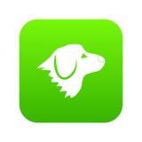 Зеленый цвет значка собаки Retriever цифровой Стоковые Фото Зеленый цвет значка собаки Retriever цифровой Стоковые Фото