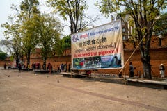 Знак „не кормит голубей на воротах Thapae стоковые изображения Знак „не кормит голубей на воротах Thapae стоковые изображения