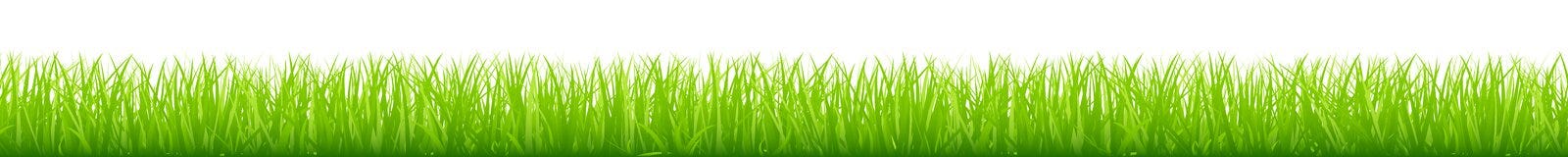 Знамя графического прямого зеленого луга длинное горизонтальное бесплатная иллюстрация Знамя графического прямого зеленого луга длинное горизонтальное бесплатная иллюстрация
