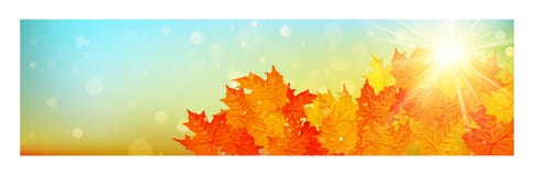 Знамя осени с красочными листьями на влиянии bokeh золота 10 eps бесплатная иллюстрация Знамя осени с красочными листьями на влиянии bokeh золота 10 eps бесплатная иллюстрация