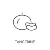 Значок Tangerine линейный Современная концепция логотипа Tangerine плана дальше иллюстрация вектора Значок Tangerine линейный Современная концепция логотипа Tangerine плана дальше иллюстрация вектора