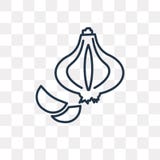 Значок вектора чеснока изолированный на прозрачной предпосылке, линейном Ga иллюстрация штока Значок вектора чеснока изолированный на прозрачной предпосылке, линейном Ga иллюстрация штока