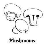Значок грибов черный белый Иллюстрация плана champignon вектора иллюстрация вектора Значок грибов черный белый Иллюстрация плана champignon вектора иллюстрация вектора