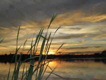 Золотая солнечность солнца вечера светит с водой и затеняет дерево Стоковое Изображение RF Золотая солнечность солнца вечера светит с водой и затеняет дерево Стоковое Изображение RF