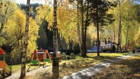 Золотая осень в регионе Altai в России Красивый ландшафт - дорога в лесе осени стоковые фотографии rf Золотая осень в регионе Altai в России Красивый ландшафт - дорога в лесе осени стоковые фотографии rf