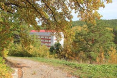Золотая осень в регионе Altai в России Красивый ландшафт - дорога в лесе осени стоковое фото rf Золотая осень в регионе Altai в России Красивый ландшафт - дорога в лесе осени стоковое фото rf