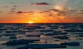 Золотой заход солнца над дрейфующими льдами пакового льда, Антарктика стоковое изображение Золотой заход солнца над дрейфующими льдами пакового льда, Антарктика стоковое изображение
