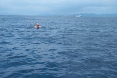 Зона морского дьявола наблюдая, пункт города Manta, в острове Ishigaki, Окинава стоковые изображения Зона морского дьявола наблюдая, пункт города Manta, в острове Ishigaki, Окинава стоковые изображения